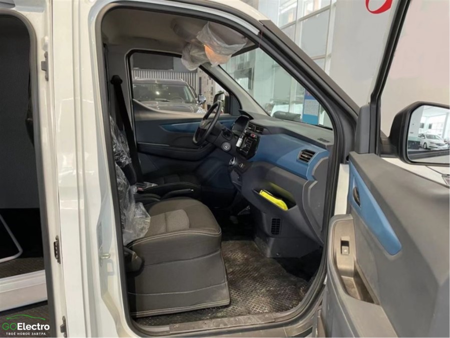 MAXUS EV30