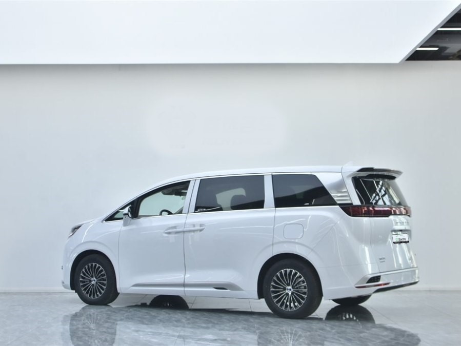 DENZA D9