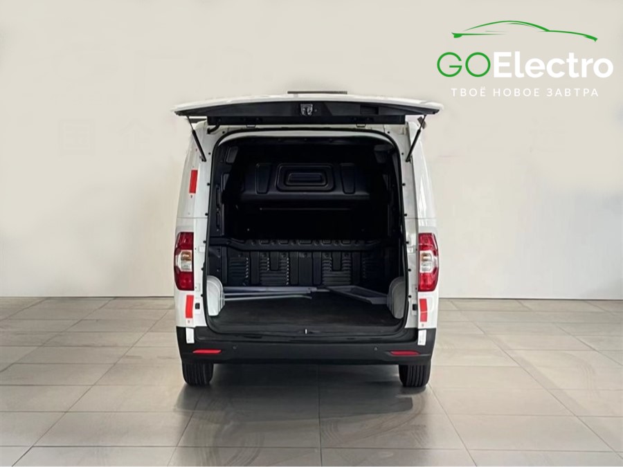 MAXUS EV30