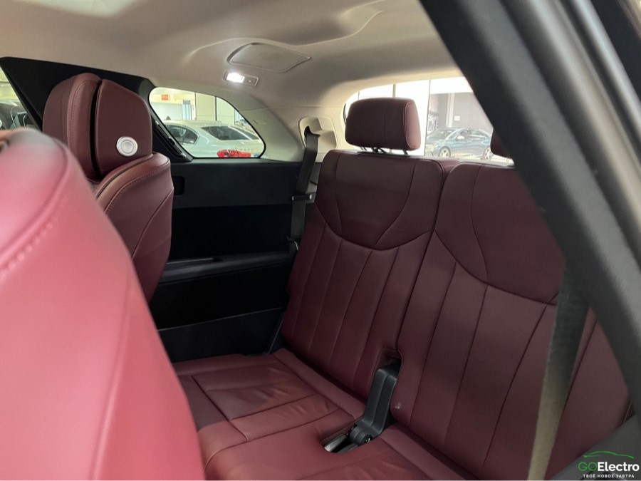 HONGQI E-HS9