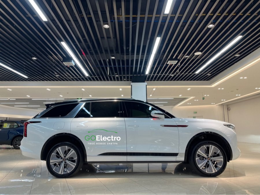 HONGQI E-HS9