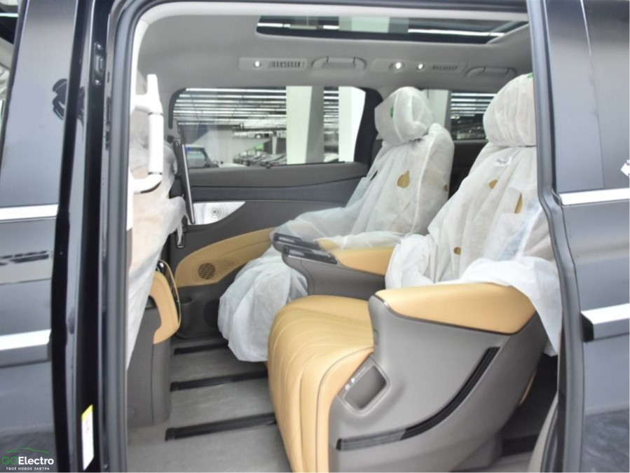 DENZA D9