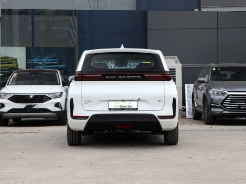 BYD D1
