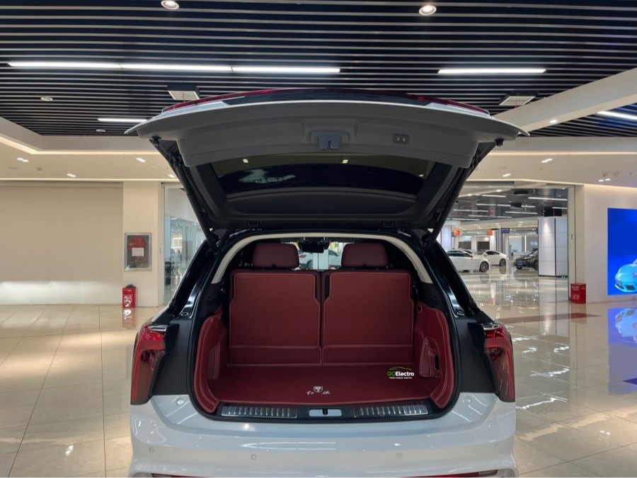 HONGQI E-HS9