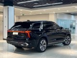 HONGQI E-HS9