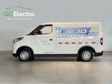 MAXUS EV30