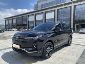 WELTMEISTER EX6 PLUS